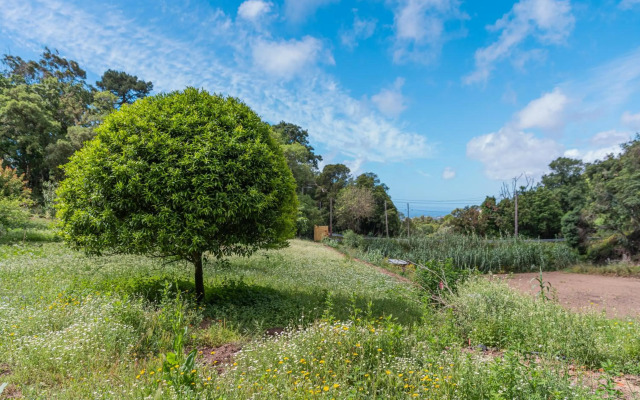 Quinta biológica, com vista, na Serra de Sintra