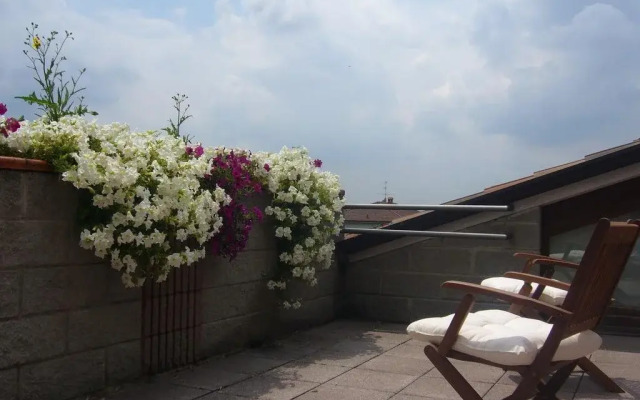 The Flower Garden