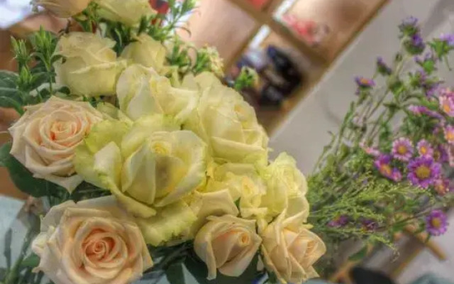 Xiyu Hostel · Cat Café