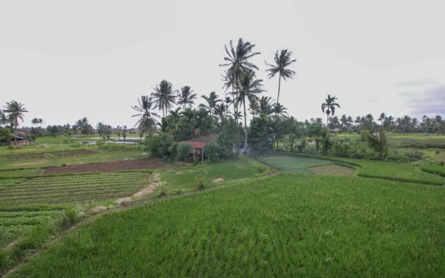 Airy Syariah Pauh Djamaluddin Wak Ketok 20 Padang