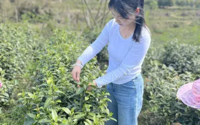 Anji Lanyin Homestay
