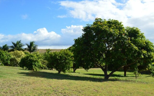 God's Peace of Maui