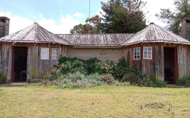 Castle Forest Lodge