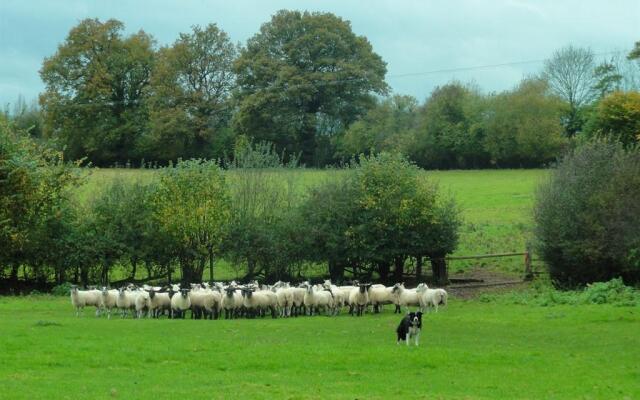 Grove Farm Direct