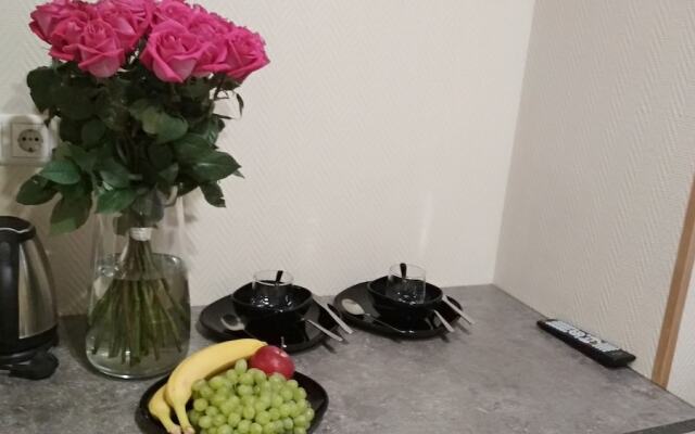 Samsonov Hotel Ligovskiy 48