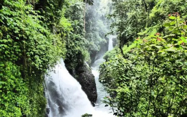 Shibui Garden Bungalows and Restaurant