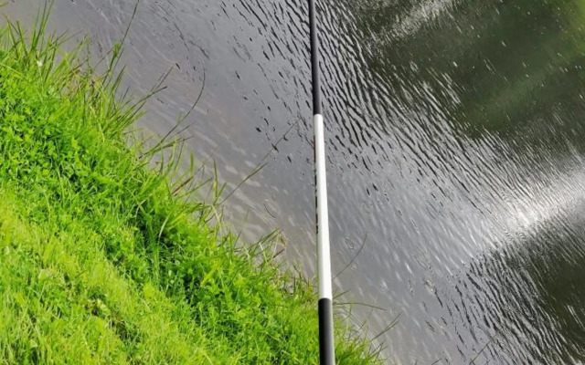 Orupõhja kämpingud ja telkimisala