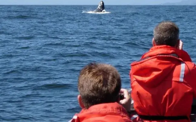 Isaiah Jones Homestead Bed & Breakfast