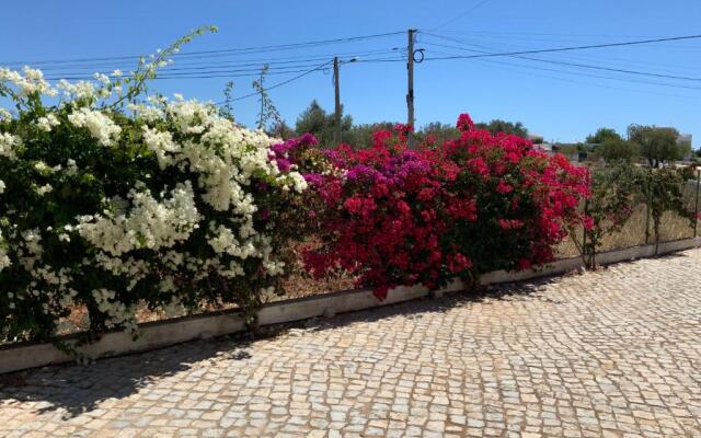 Guest House Alfarrobeiras