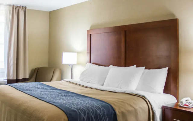 Comfort Inn Jamaica