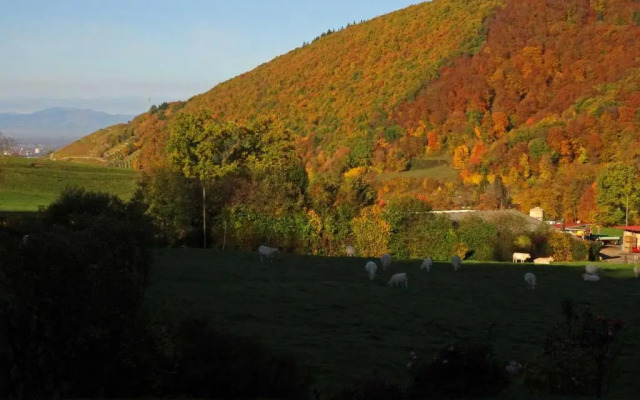 Appartement im Saegegaessle