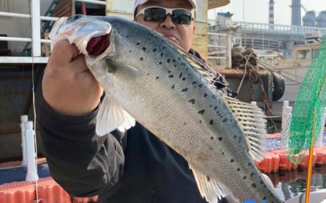 Qingdao Bosai East Sea Fishing Resort (Golden Beach Branch) – People – Qingdao