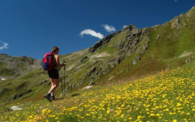 Pensione Ristorante Selva