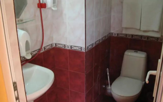Family Hotel Savov