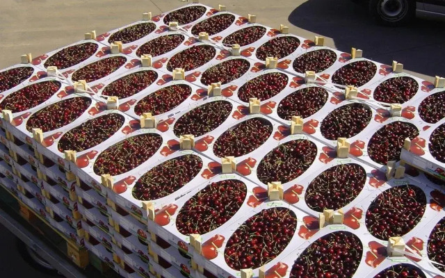 B&B Cherryfarm