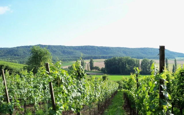 Landhotel & Weingasthof Schwarzer Adler