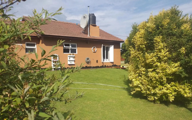 Descanso,verde,paz,playa