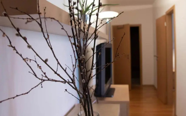 Apartment Tereza
