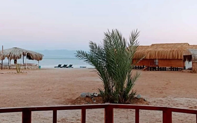 Shanty camp