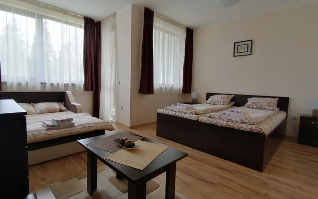 Borovets Gardens Studio D36