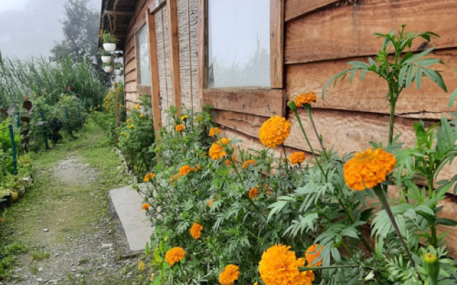 Nature Valley Pangot