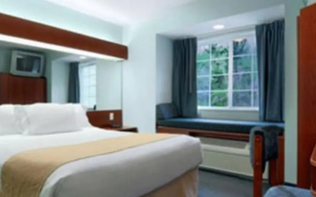 Microtel Inn & Suites Gardendale