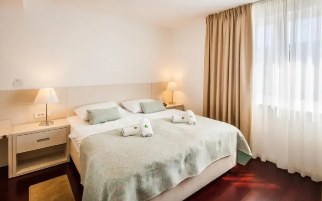 Hotel Borovnik