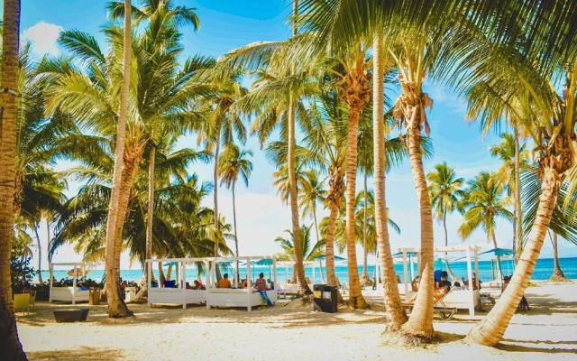 "quiet And Well-kept Apartment Garden Views. Playa Bavaro"