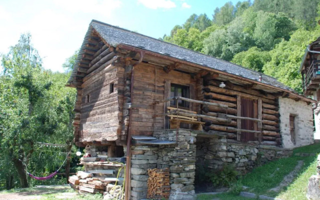 House Rudico OG Semione