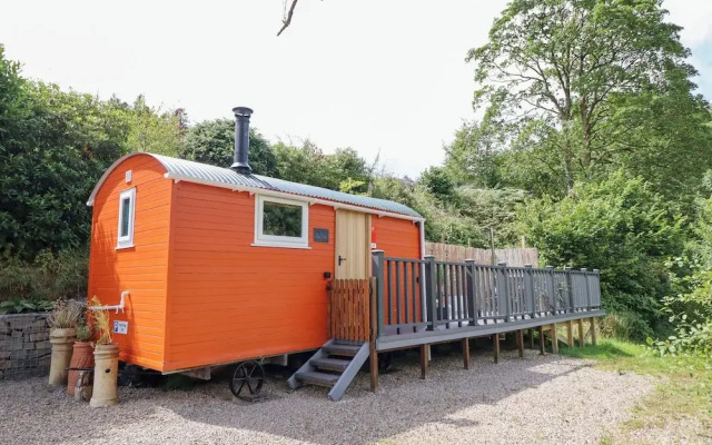 Red Kite at Wild Valley Huts