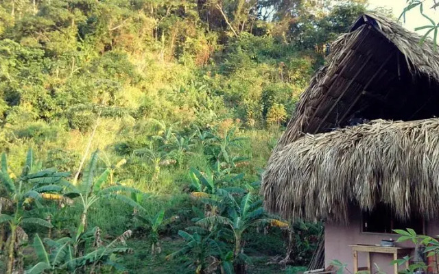 Zamukia