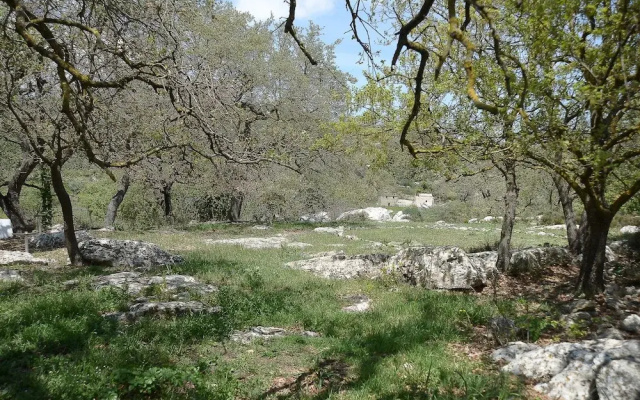 "sifakis Gorgeous Stone House"