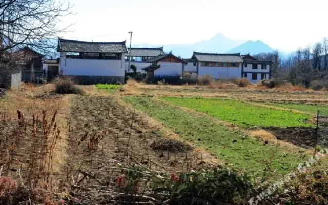 Xiaomei's Home