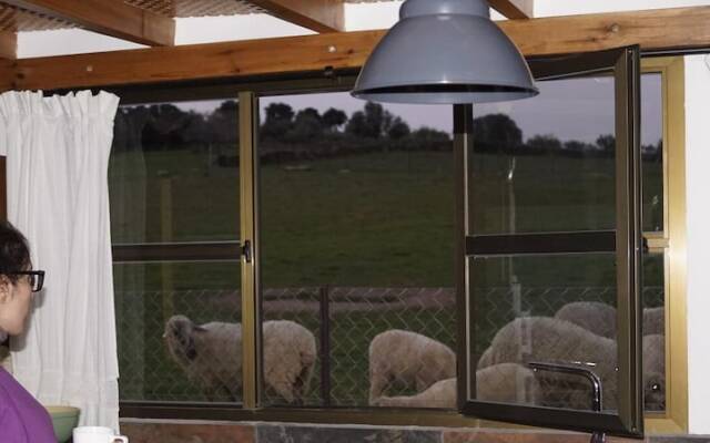 Apartamentos Estrellas de Monfragüe