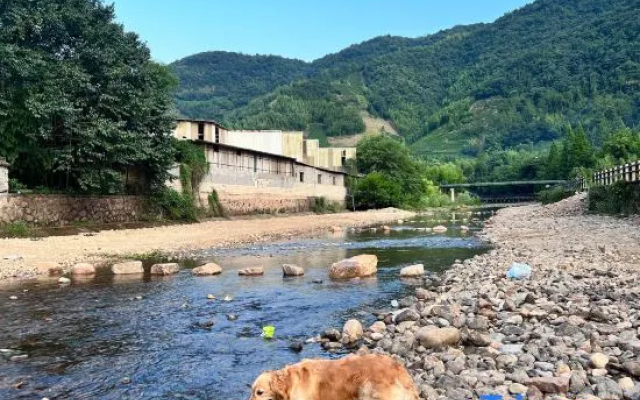 Encounter Boutique Hostel