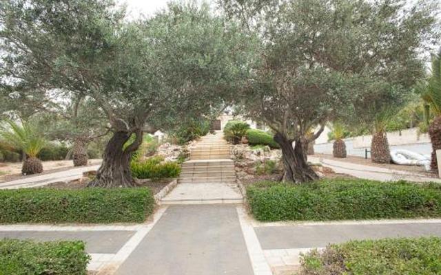 Romantic suite in Caesarea