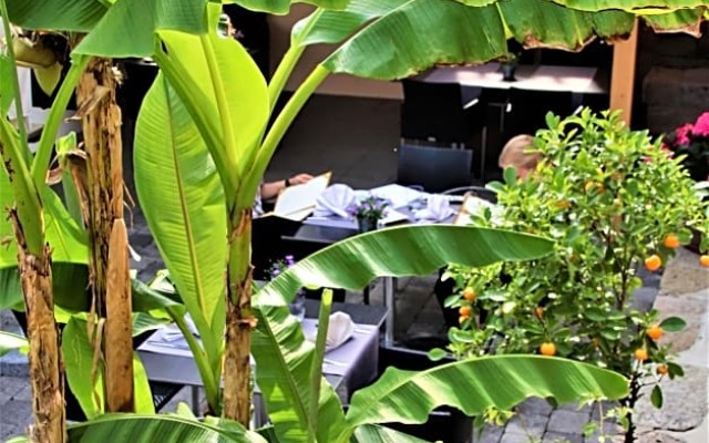 Einhorn Hotel Restaurant Weinbar