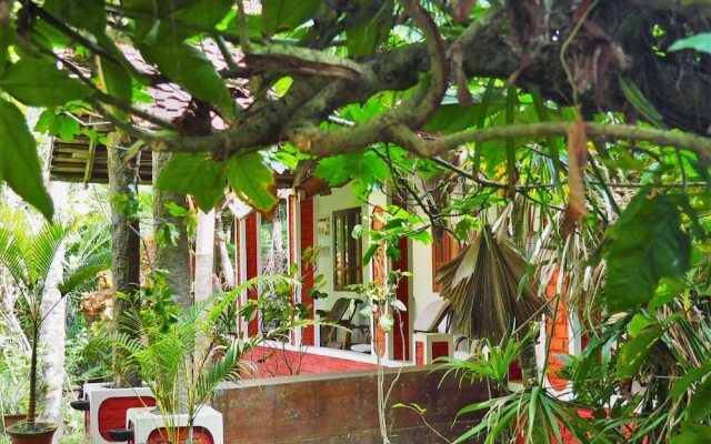 Eden Garden Ayurvedic Health Retreat