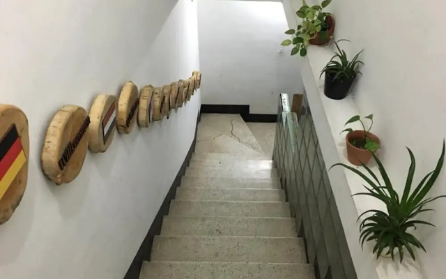 Natural House Hostel