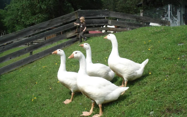 BIO Betrieb Saumerhof