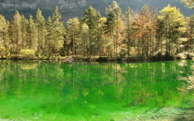 Villa Mühlei bei Salzburg - Walters Appartment