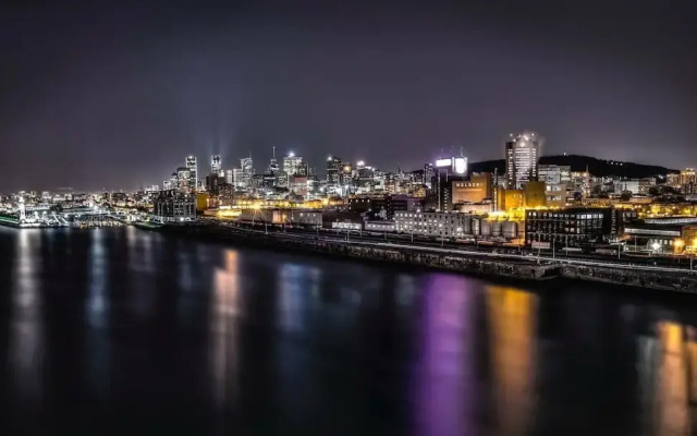 Lovely Studio in Downtown