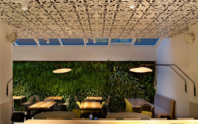 Mendeli Street Hotel By Prima Hotels - 16 years old plus