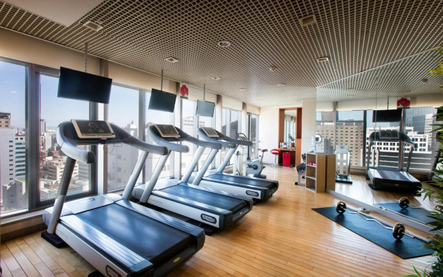 ibis Ambassador Seoul Myeongdong
