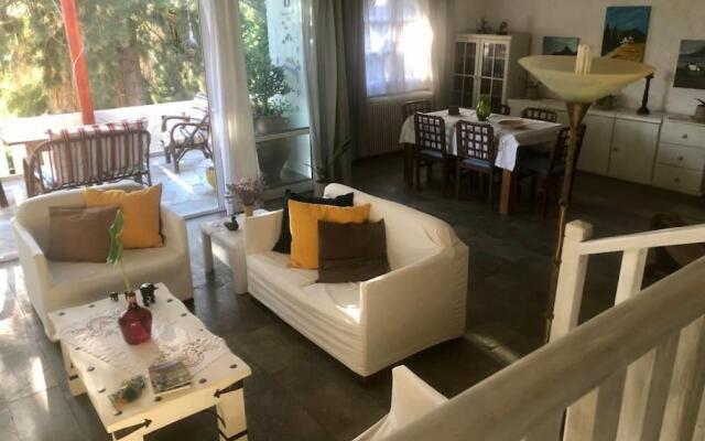 ΝΙRΑSΤΕRΟ - The house in the trees