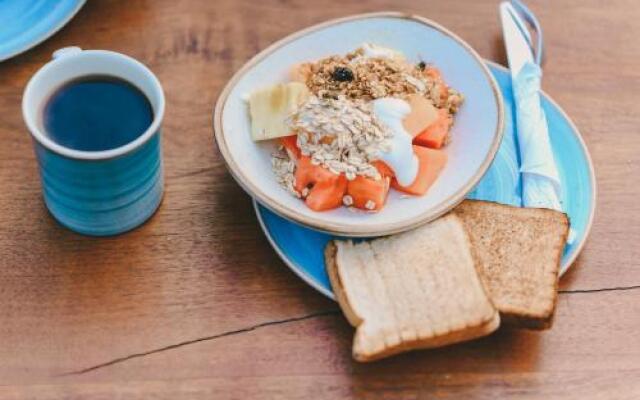 Señor Frogs Hostel - Adults Only