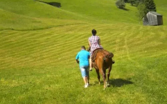 Pensiunea Valea Mariilor