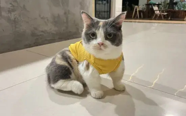 Shenzhen Pingshang Surf Inn 2