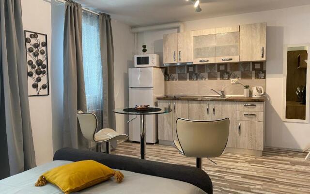 Urseni Studio Apartment
