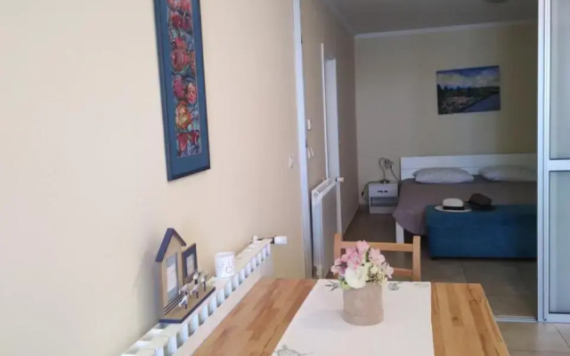 Oliva Apartments Lozica